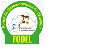 Logo de référence 48